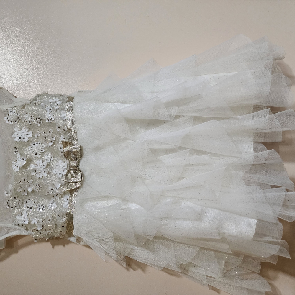 Jona Michalle White Floral Tulle Dress Size 4T